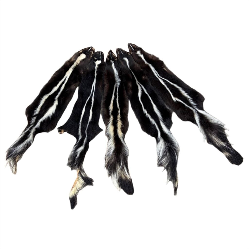 Skunk Fur: #1 Quality / XLarge