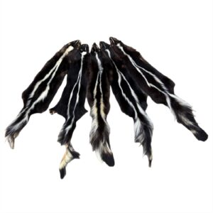 Skunk Fur: #1 Quality / Large