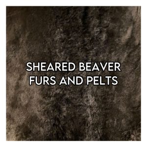 Beaver - Sheared Beaver Furs