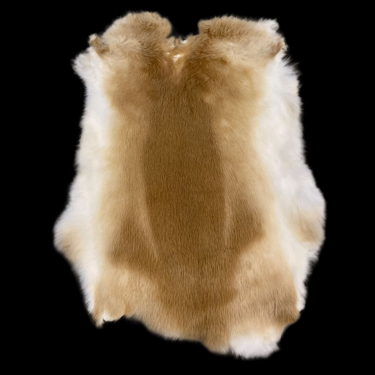 Rabbit pelt store