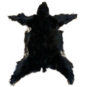 Black Bear Fur:  #1 Quality / X Large / Black