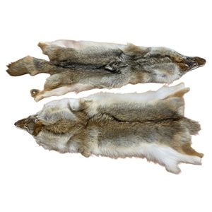 Coyote Fur - #2 Quality/XX Large