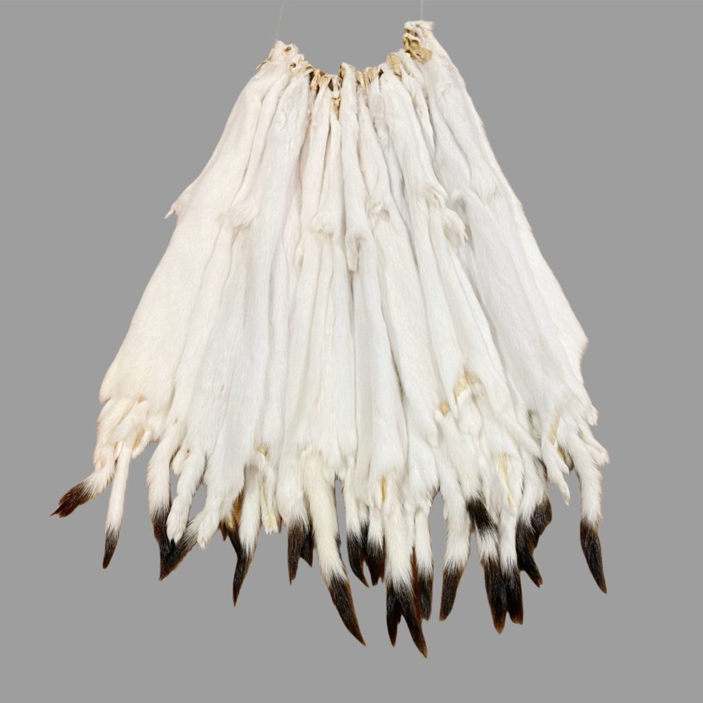 Ermine Fur: #1 Quality / Small