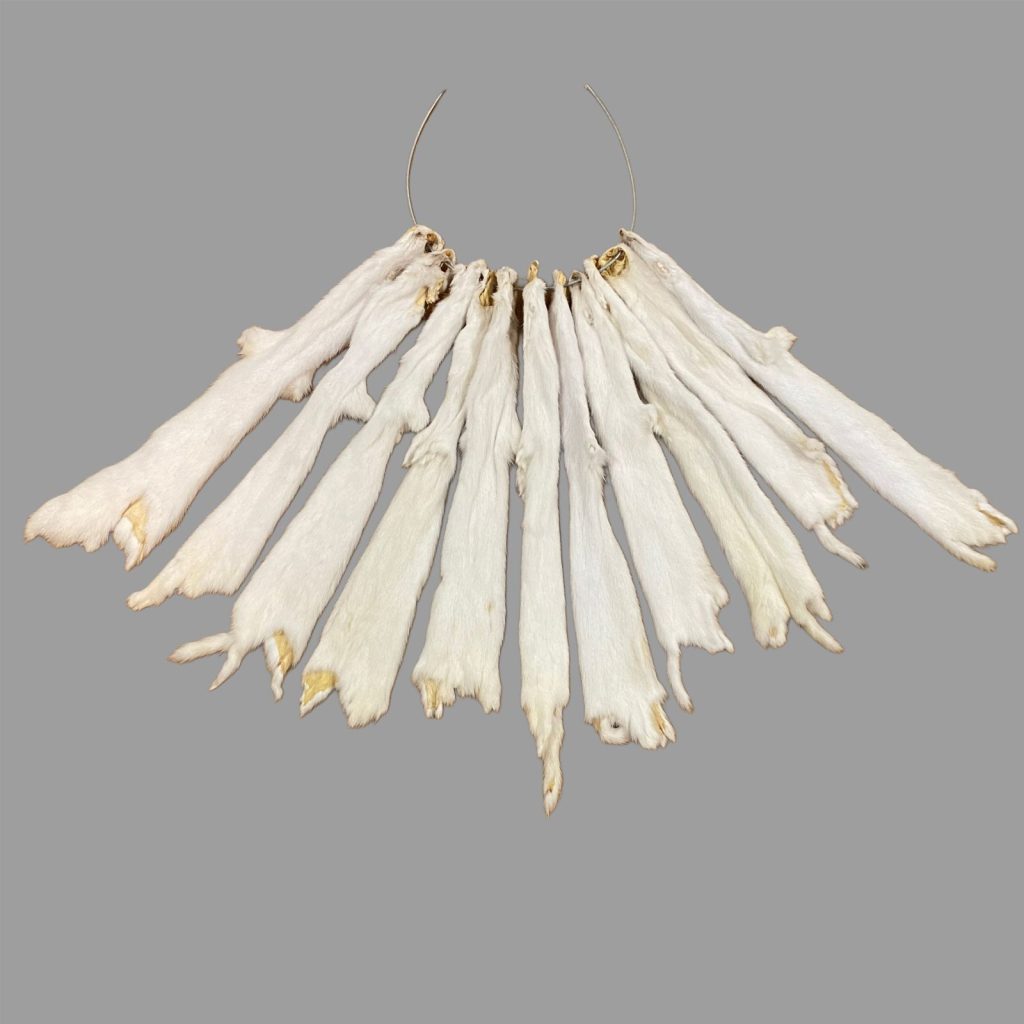 Ermine Fur: #1 Quality / X Large / No Tail