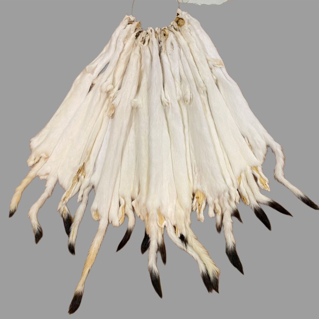 Ermine Fur: #1 Quality / Small / Slight Stain
