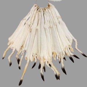 Ermine Fur: #1 Quality / Large / Slight Stain