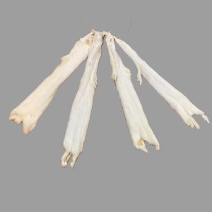 Ermine Fur: #1 Quality / X Large / Slight Stain / No Tail