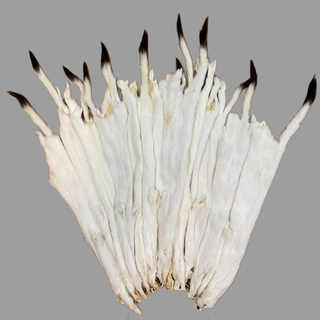 Ermine Fur: #2 Quality / Small