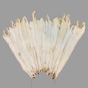 Ermine Fur: #2 Quality / Large / No Tail