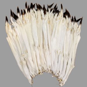 Ermine Fur: #2 Quality / Medium / Stained