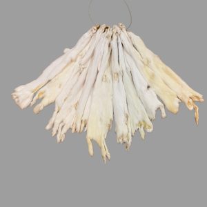 Ermine Fur: #3 Quality / Large / No Tail