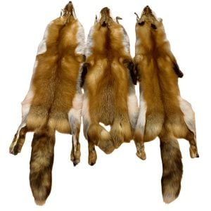 Red Fox Fur:  #3 Quality / X Large