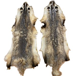 Badger Fur: #2 Quality / XX Large