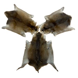 Muskrat Fur - #2 Quality/Large