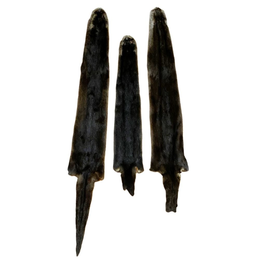 Otter Fur: #3 Quality / XXLarge