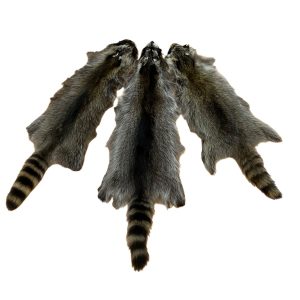 Raccoon Fur - #1 Quality/Large