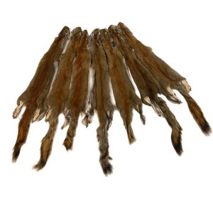 Squirrel Fur - #1 Quality