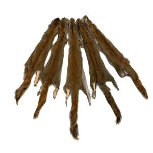 Squirrel Fur - #2 Quality