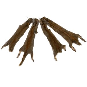 Squirrel Fur - No Tail