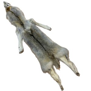 Wolf Fur: #2 Quality / X Large