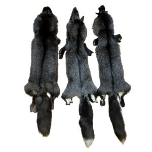 Silver Fox Fur: #1 Quality / X Large / Medium Colour