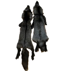 Silver Fox Fur: #2 Quality / X Large / Medium Colour