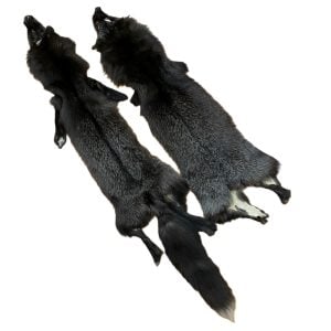 Silver Fox Fur: #3 Quality / X Large / Medium Colour