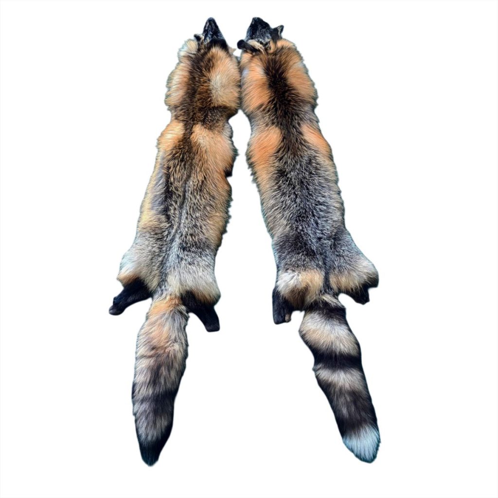 Cross Fox Fur: #1 Quality / X Large / Pale Colour