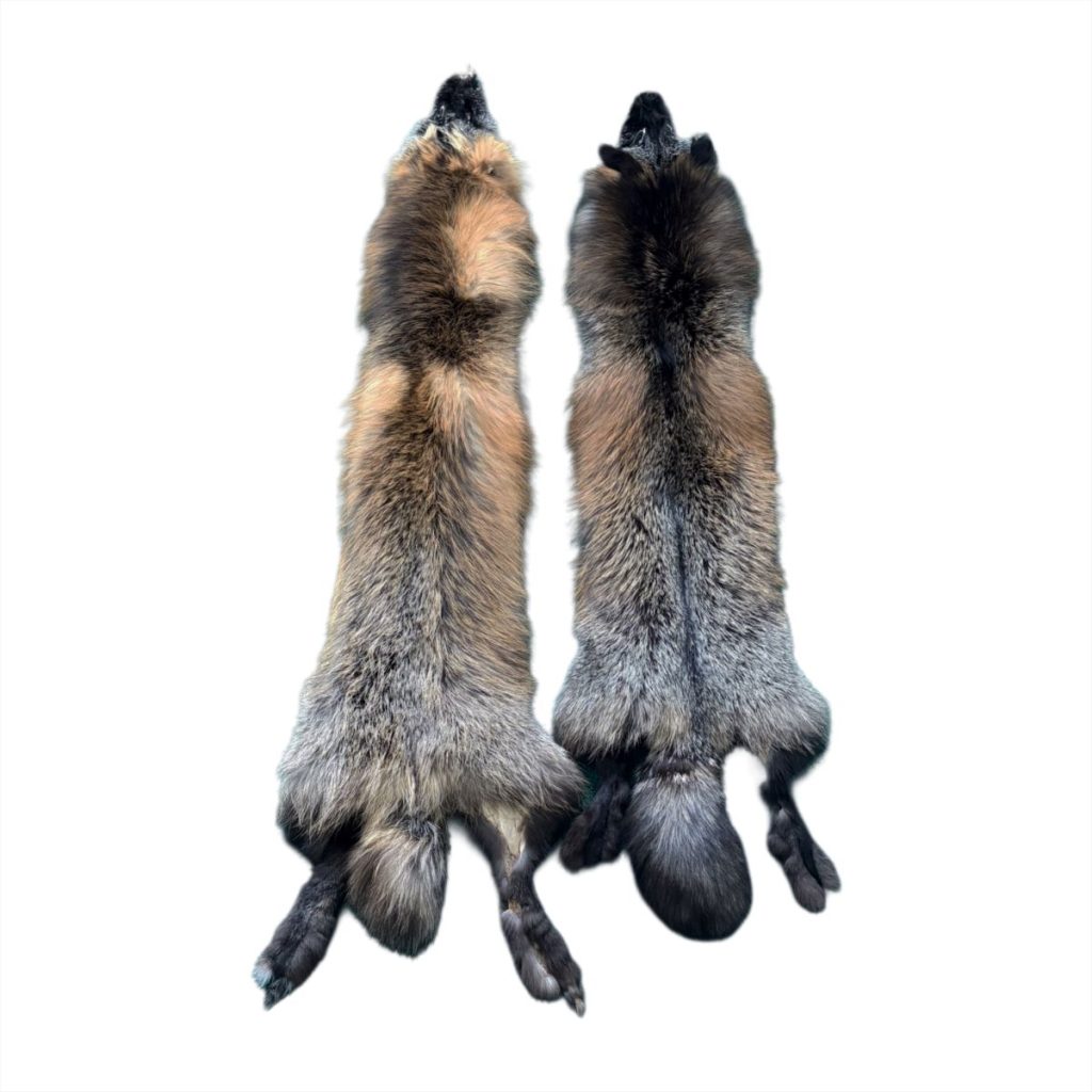 Cross Fox Fur: #2 Quality / Large / Medium Colour