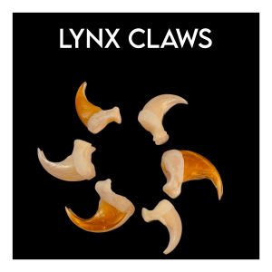 Lynx Claws
