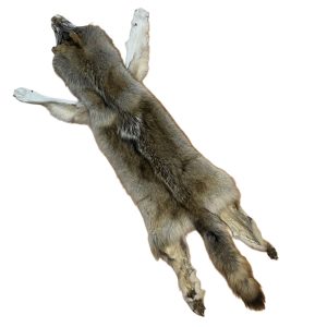 Wolf Fur: #2 Quality / X Large