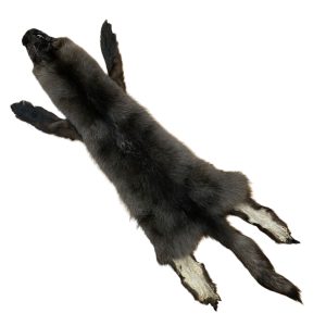 Wolf Fur: #2 Quality / Large