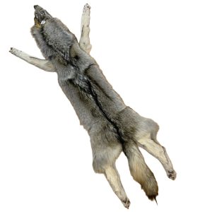Wolf Fur: #1 Quality / XX Large