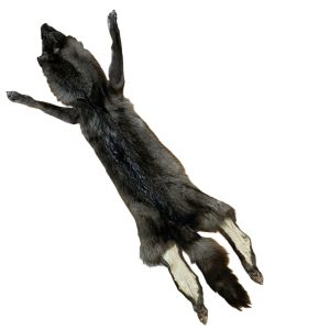 Wolf Fur: #2 Quality / X Large