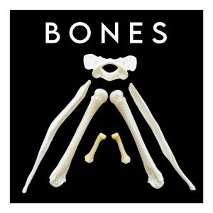 Bones