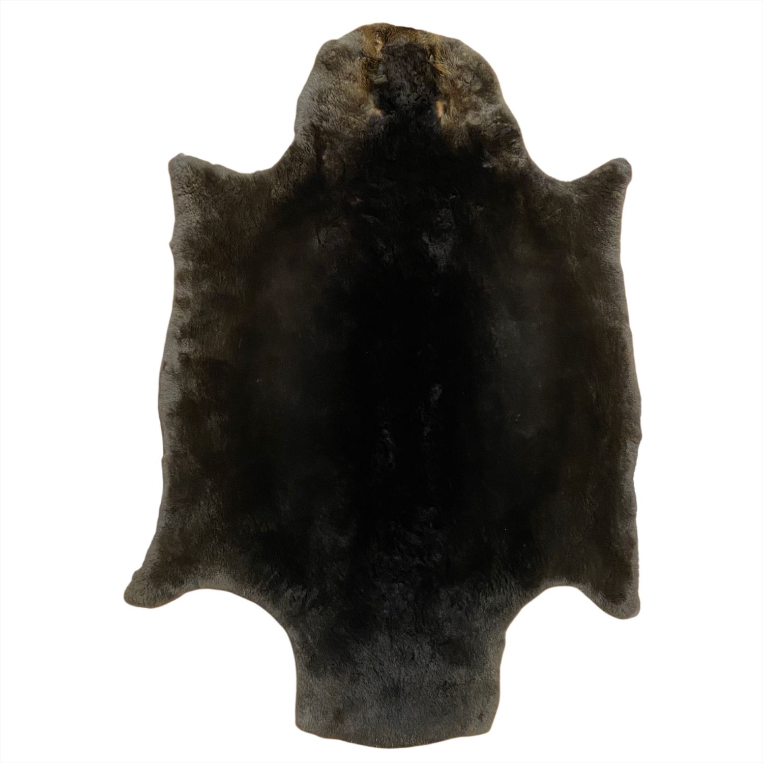 Beaver Fur - Sheared: #1 Quality / X Large