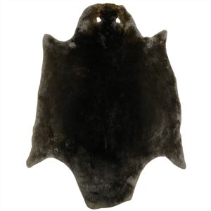 Beaver Fur - Sheared: #2 Quality / X Large