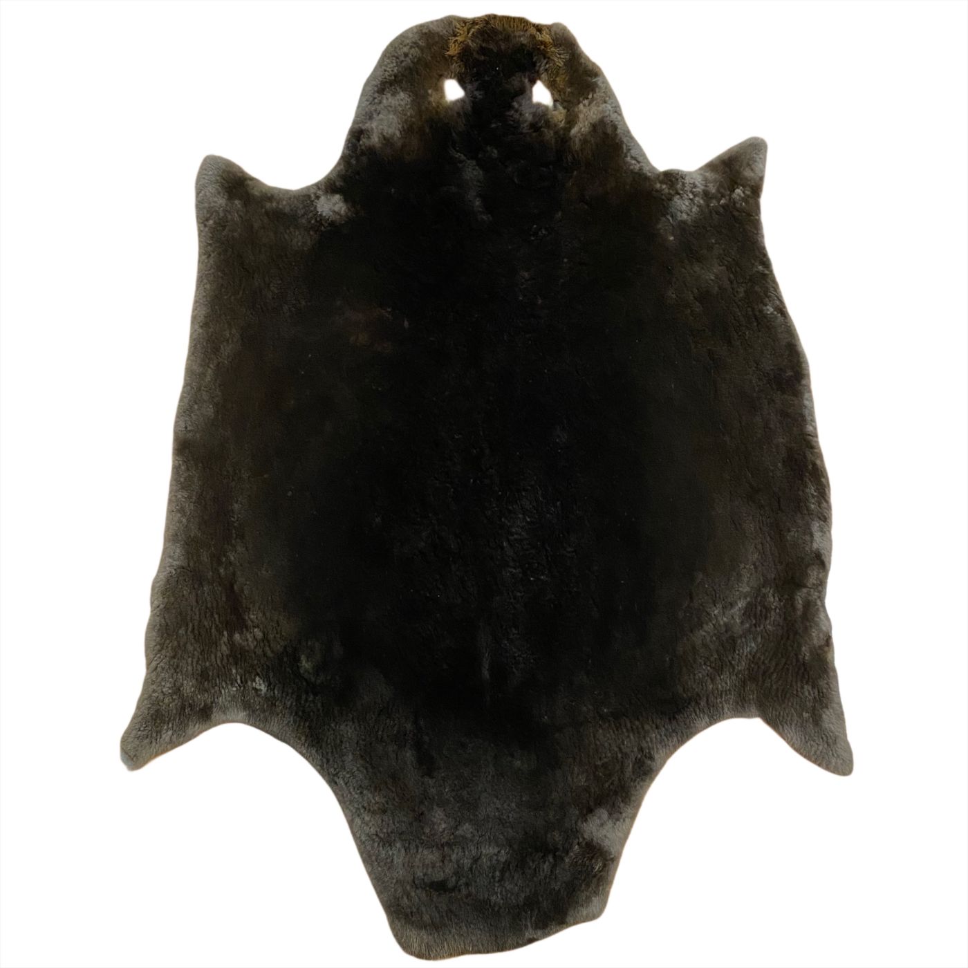 Beaver Fur - Sheared: #2 Quality / X Large