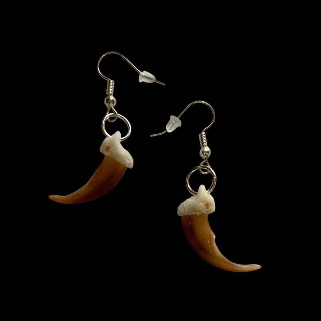 Coyote Claws: Earrings
