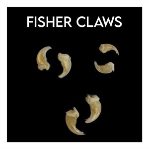 Fisher Claws