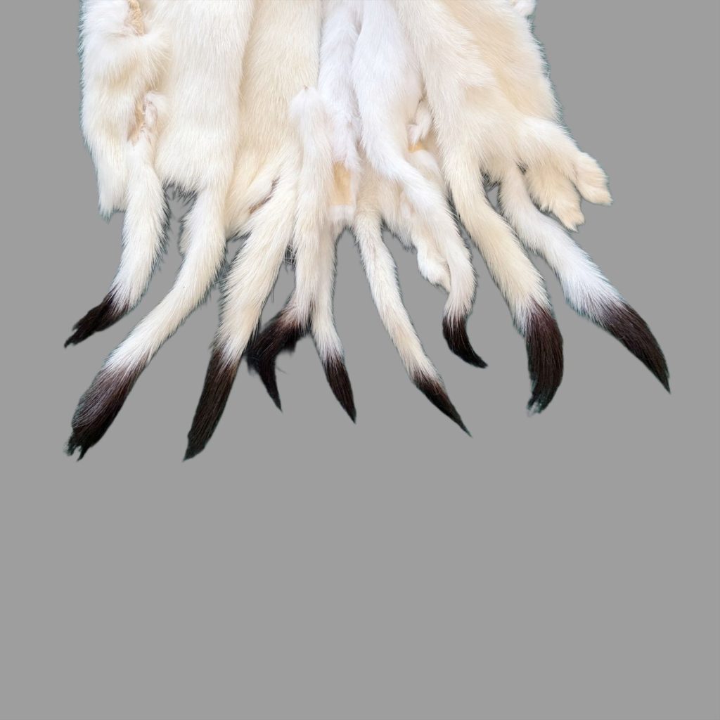 Ermine Fur: Tails