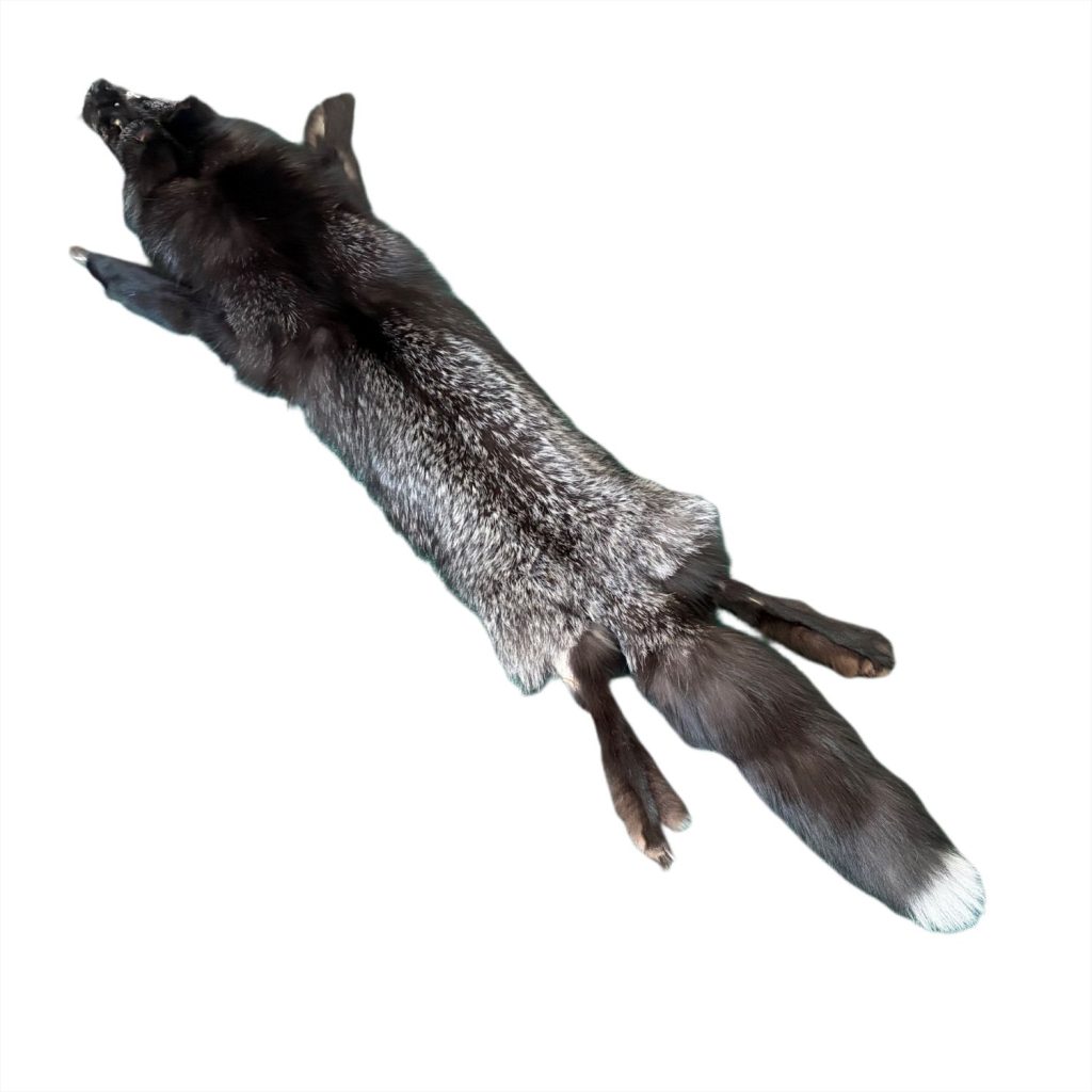 Silver Fox Fur: #1 Quality / X Large / Dark Colour