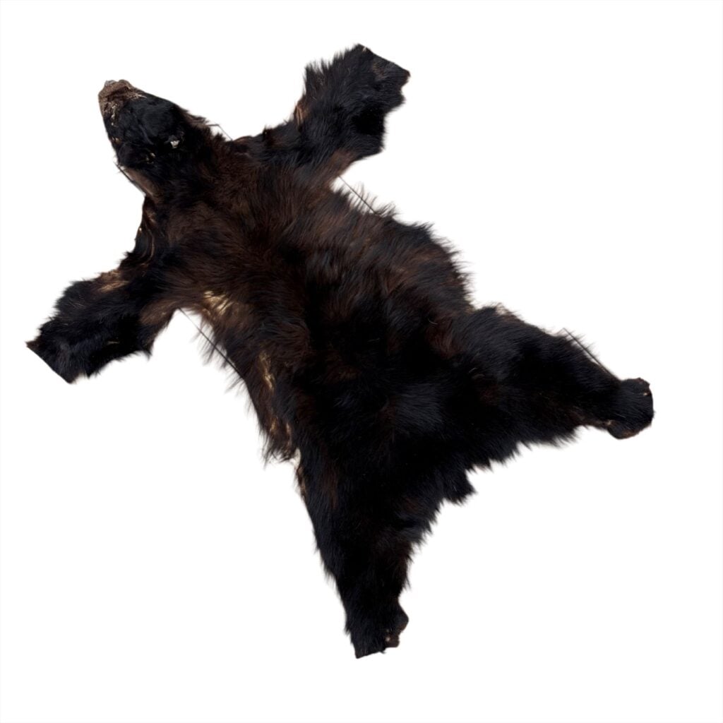 Black Bear Fur:  #3 Quality / Medium / Black