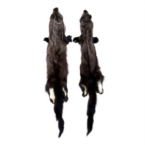 Fisher Fur: #2 Quality / Large