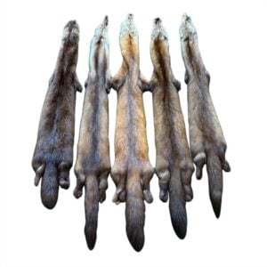 Marten Fur: #1 Quality / Medium