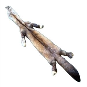 Marten Fur: #1 Quality / Medium (with claws)