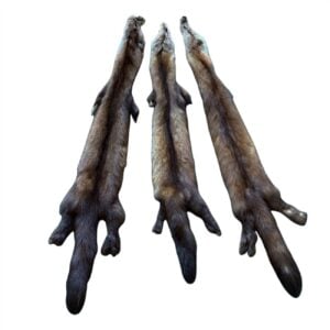 Marten Fur: #2 Quality / Large