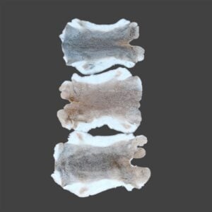 Rabbit Fur:  #1 Quality / Large / Brown & White