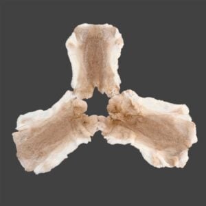 Rabbit Fur:  #1 Quality / Large / Fawn