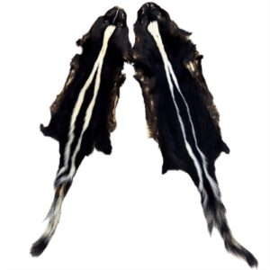 Skunk Fur: #2 Quality / Large